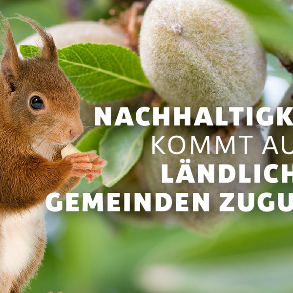 La almendra europea estará presente en Anuga 2025